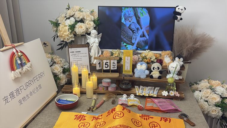 柳州宠物殡葬常见问题 TOP10，一次性解答